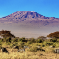 A quelle altitude culmine le Kilimandjaro, sommet le plus haut du continent?